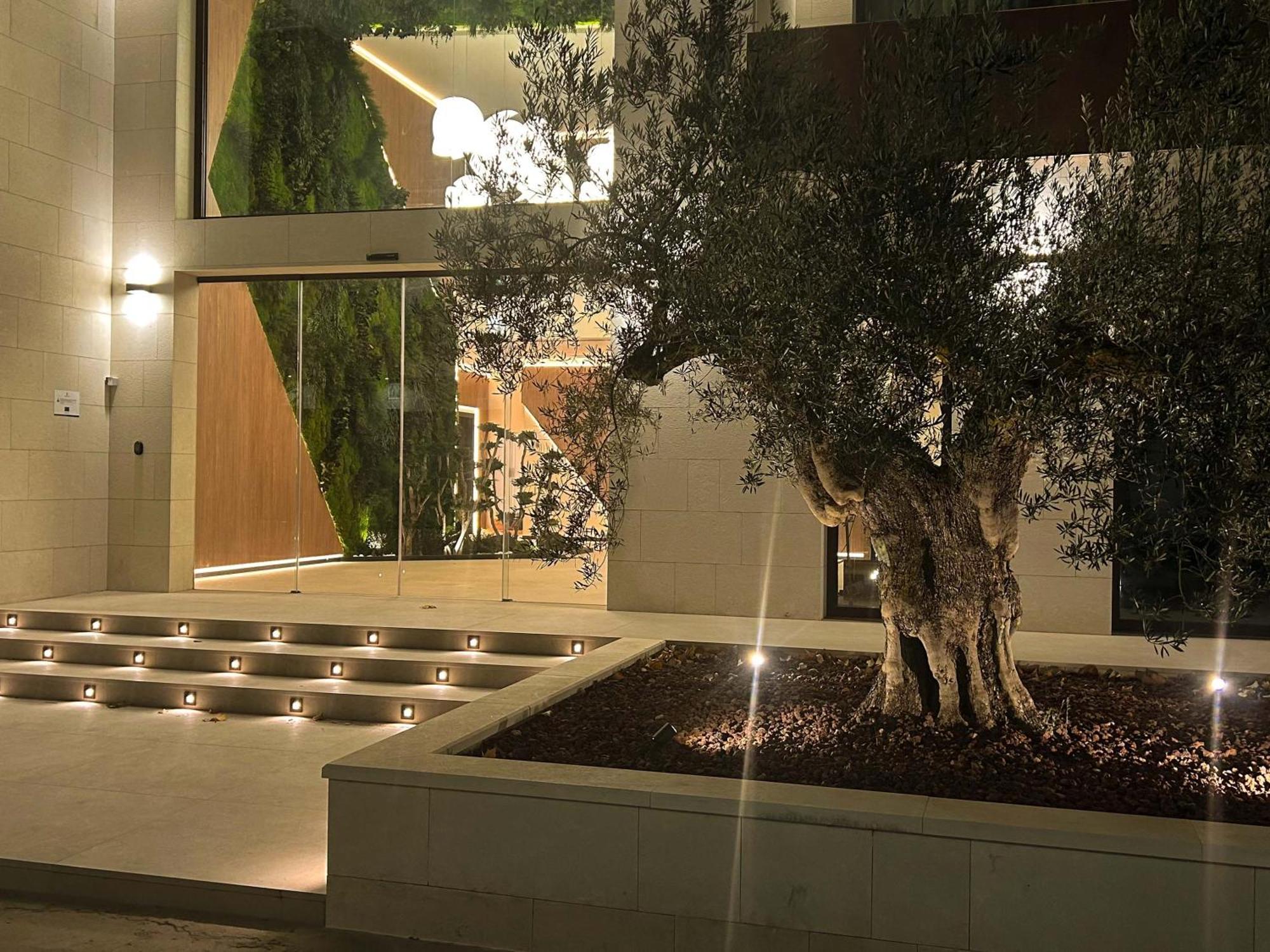 Olea Apartment *